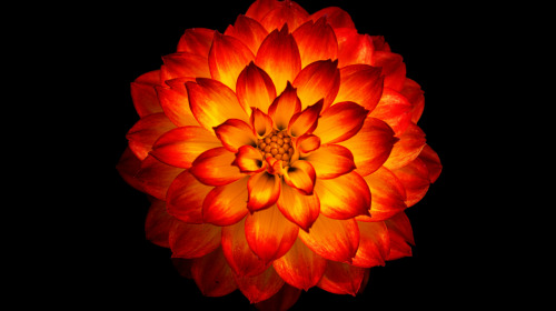 Die natürliche Freiheit des Geistes erfahren