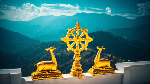 BUDDHISMUS ENTDECKEN – Die Vier Edlen Wahrheiten, Teil 1-4