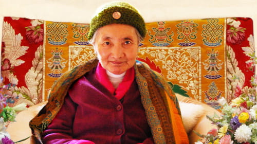 Zum gedenken an Khandro Tsering Chödron