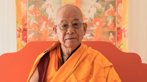 Mipham Rinpoches: Das Rad der Analytischen Meditation