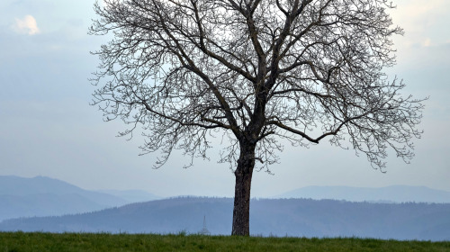 Meditation heißt, einfach zu sein