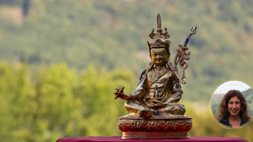 Sitzung 14. Februar 2026 - Zum Wohle aller Wesen