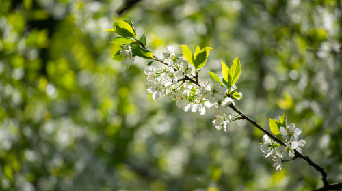 Wenn der Moment des Sterbens naht