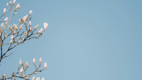 Sich um einen Sterbenden kümmern